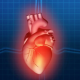 Die 4 Irrtümer der modernen Herz-Medizin und wie Du deine Gesundheit effektiv vor ihnen schützen kannst